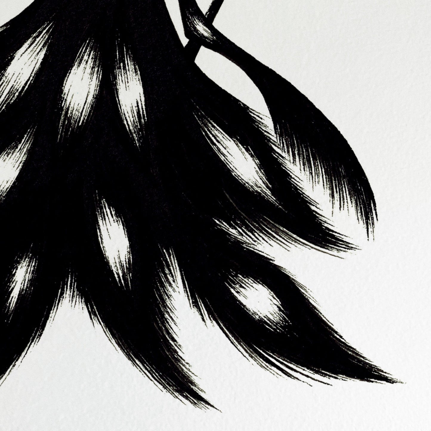 Fallen Feathers