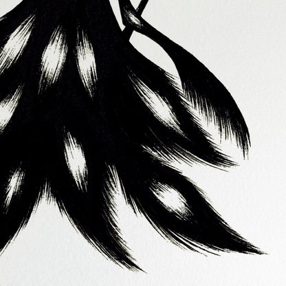 Fallen Feathers
