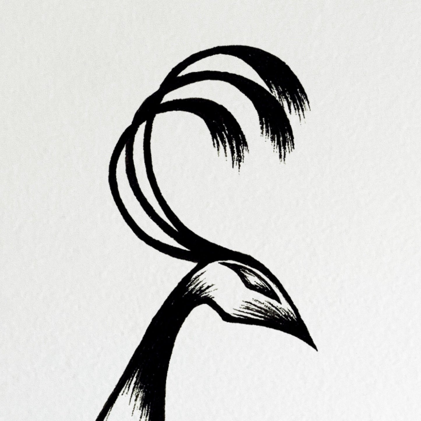 Fallen Feathers
