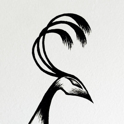 Fallen Feathers